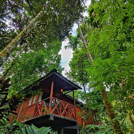 Wooden Cottages Glen Wayanad Meppādi Esterno foto