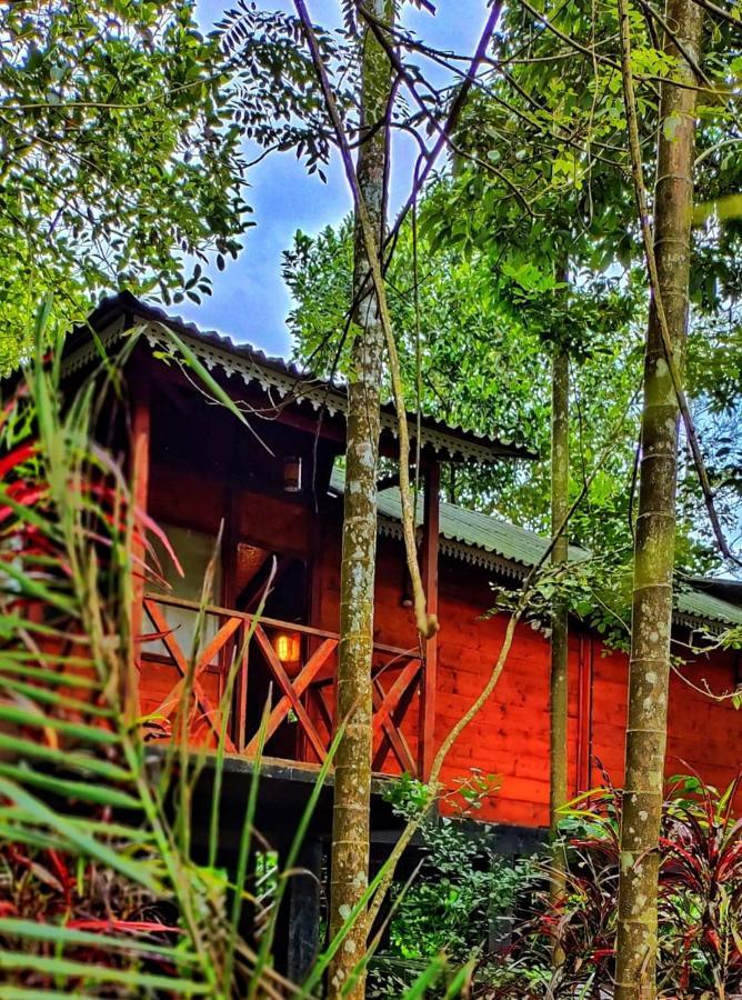 Wooden Cottages Glen Wayanad Meppādi Esterno foto