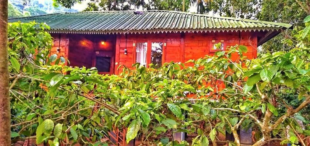 Wooden Cottages Glen Wayanad Meppādi Esterno foto