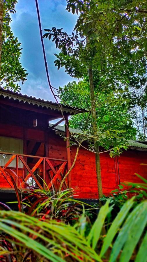 Wooden Cottages Glen Wayanad Meppādi Esterno foto