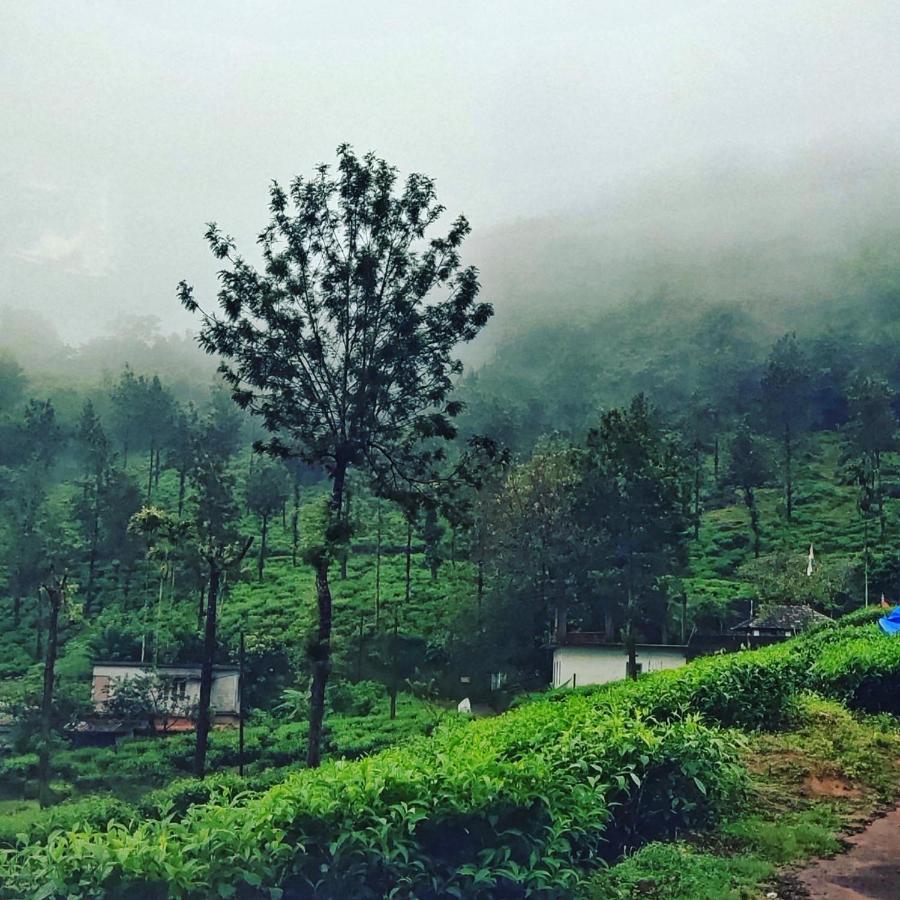 Wooden Cottages Glen Wayanad Meppādi Esterno foto