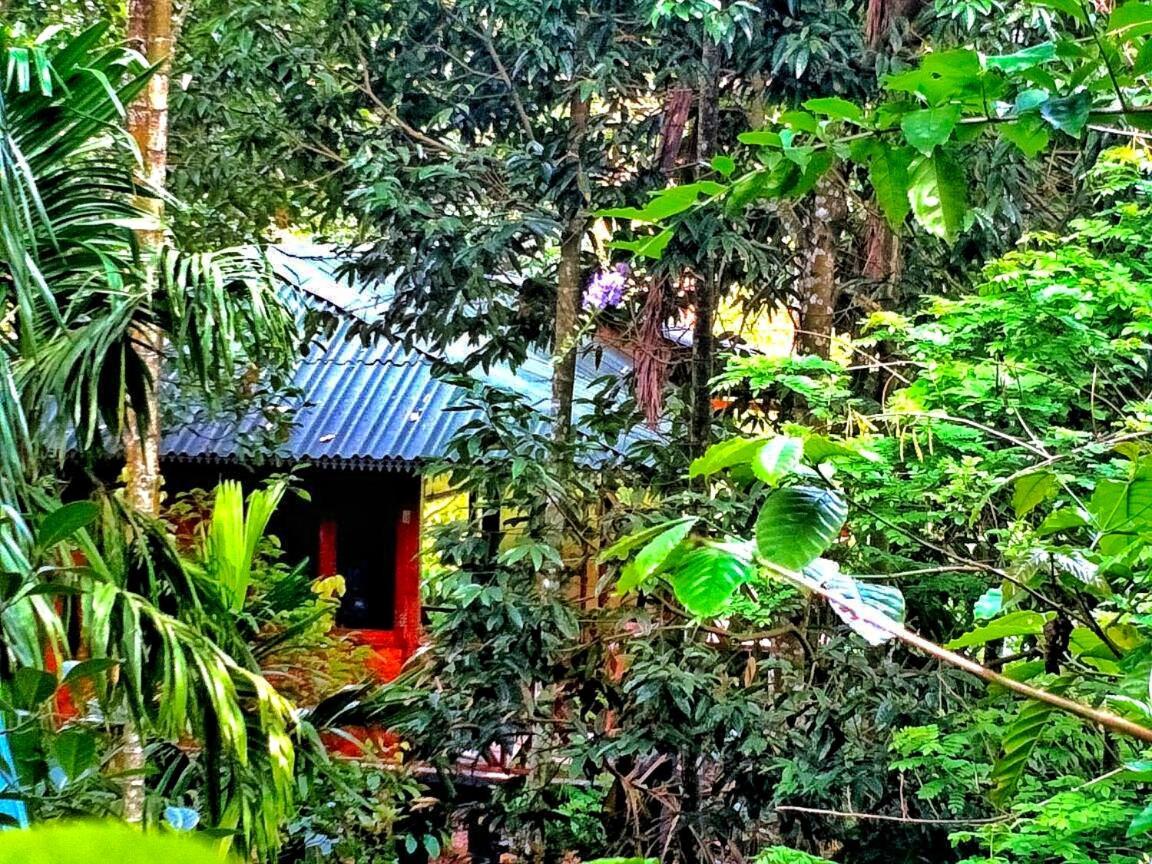 Wooden Cottages Glen Wayanad Meppādi Esterno foto