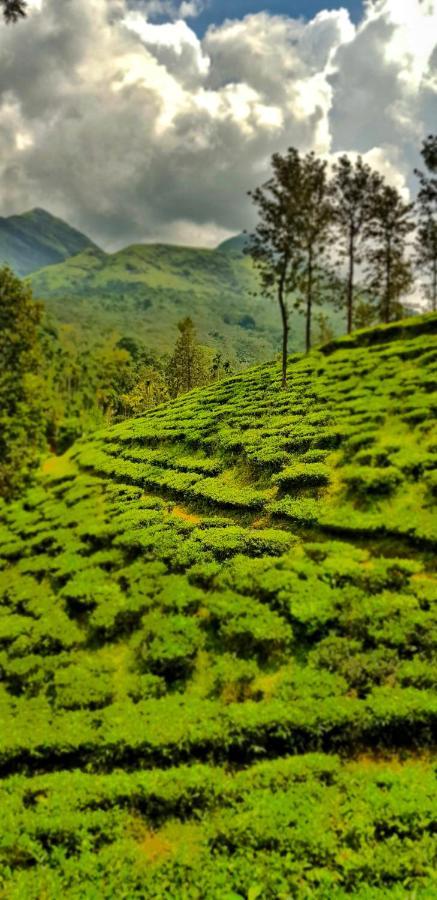 Wooden Cottages Glen Wayanad Meppādi Esterno foto