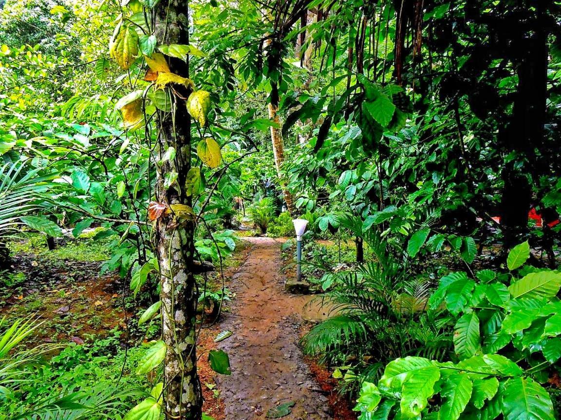 Wooden Cottages Glen Wayanad Meppādi Esterno foto
