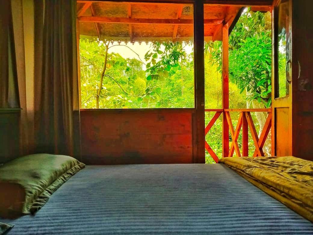 Wooden Cottages Glen Wayanad Meppādi Esterno foto