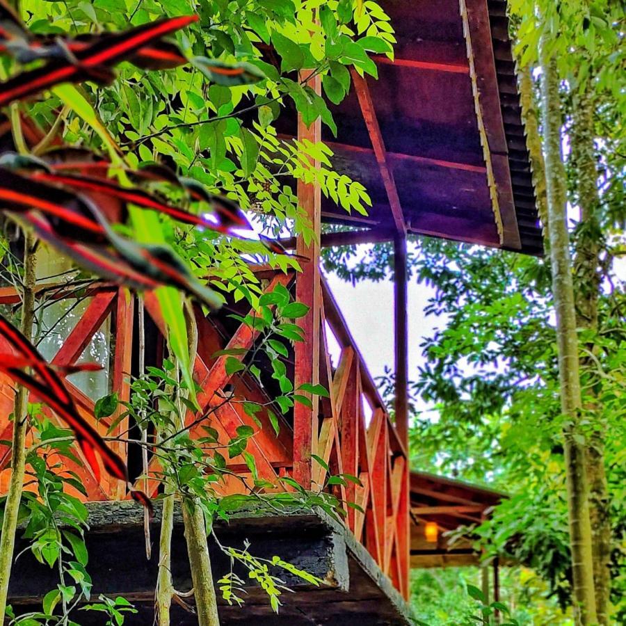 Wooden Cottages Glen Wayanad Meppādi Esterno foto