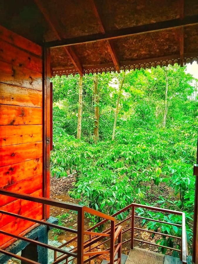 Wooden Cottages Glen Wayanad Meppādi Esterno foto