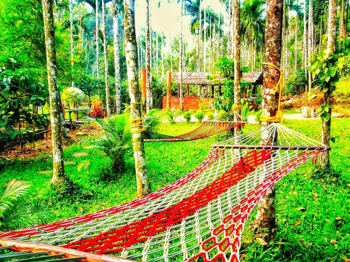 Wooden Cottages Glen Wayanad Meppādi Esterno foto
