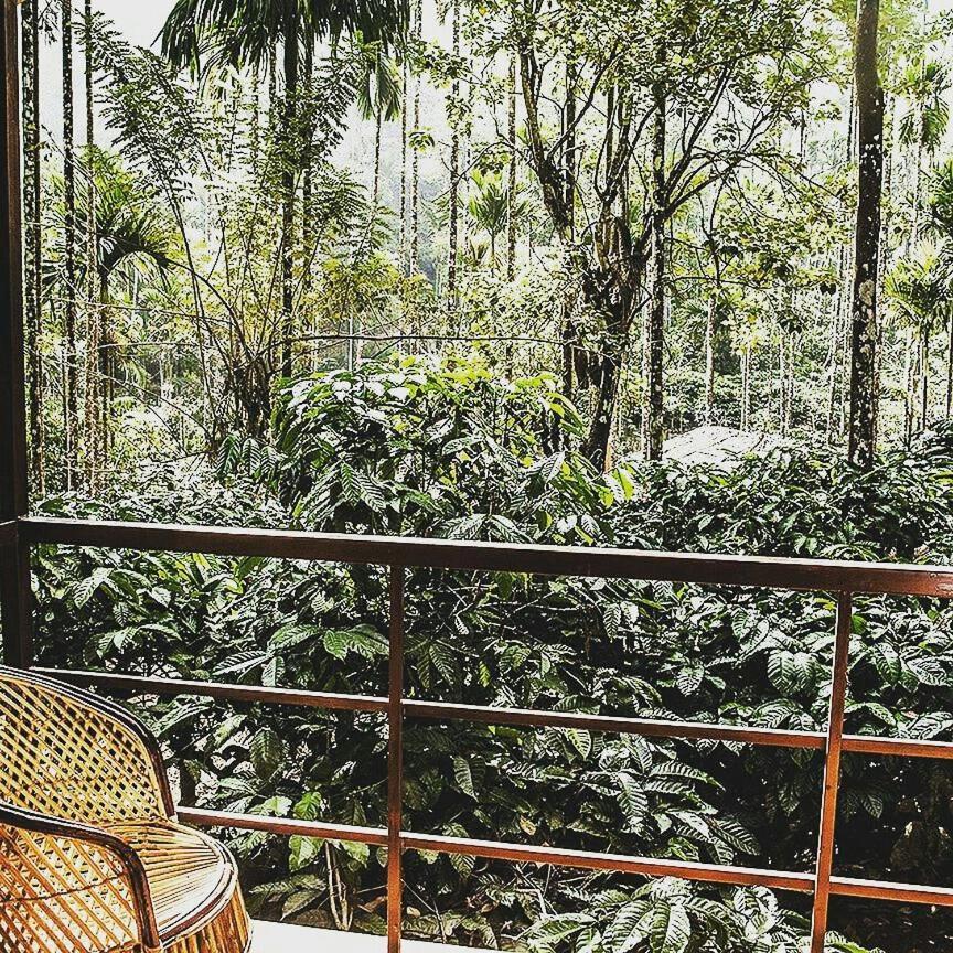 Wooden Cottages Glen Wayanad Meppādi Esterno foto