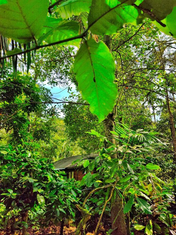 Wooden Cottages Glen Wayanad Meppādi Esterno foto
