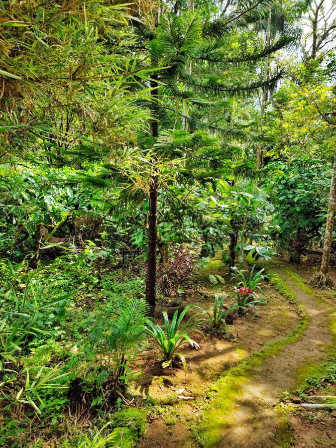 Wooden Cottages Glen Wayanad Meppādi Esterno foto