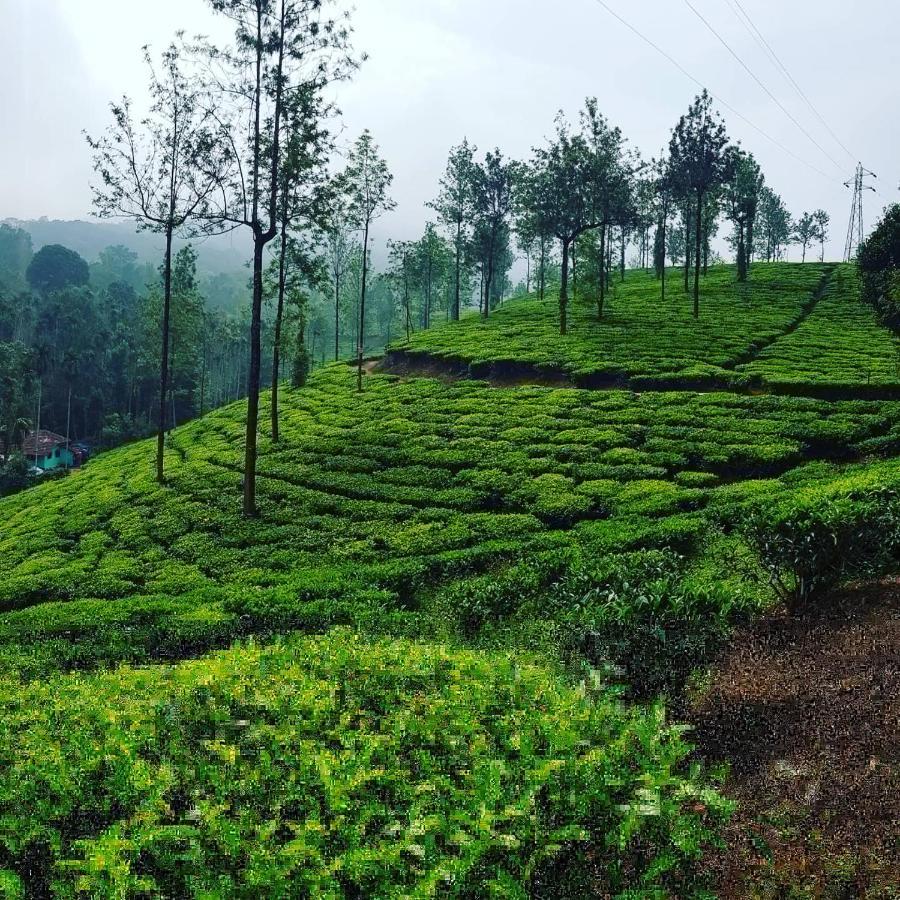 Wooden Cottages Glen Wayanad Meppādi Esterno foto