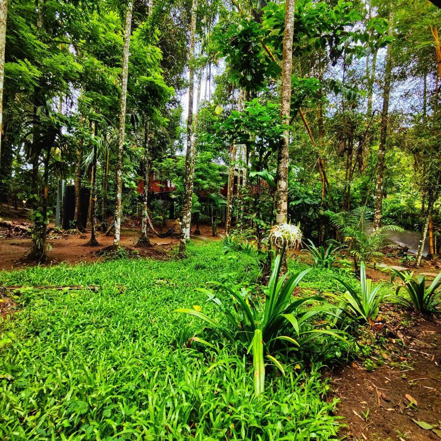 Wooden Cottages Glen Wayanad Meppādi Esterno foto