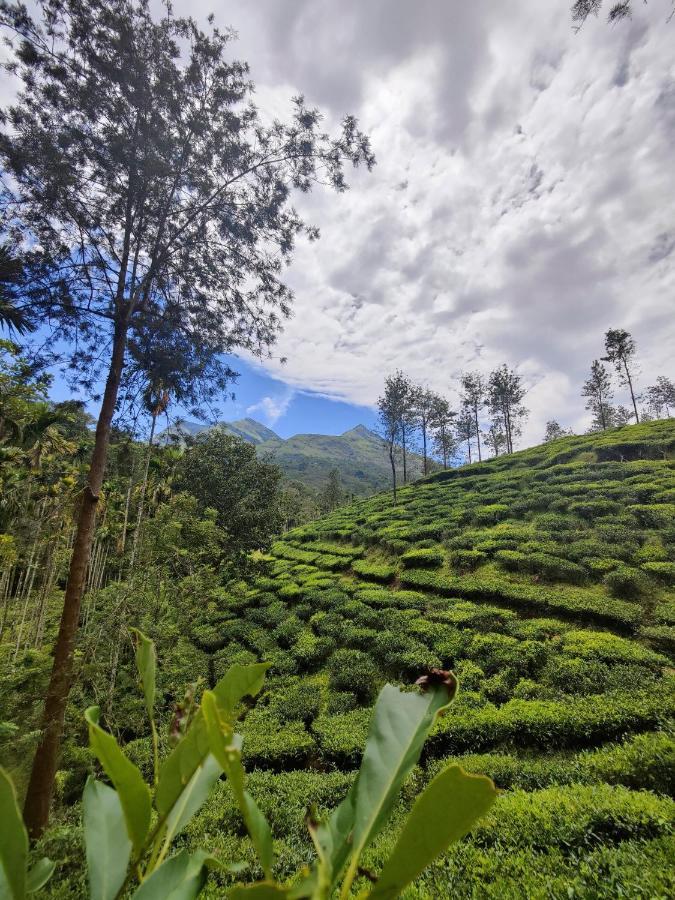 Wooden Cottages Glen Wayanad Meppādi Esterno foto