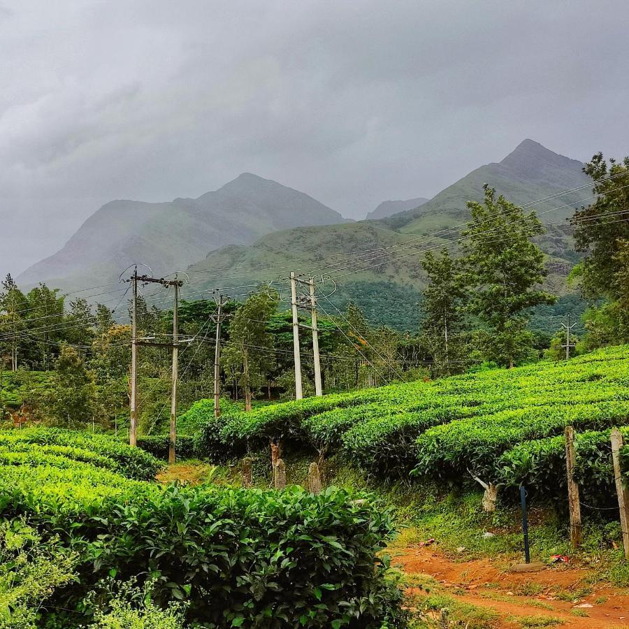 Wooden Cottages Glen Wayanad Meppādi Esterno foto