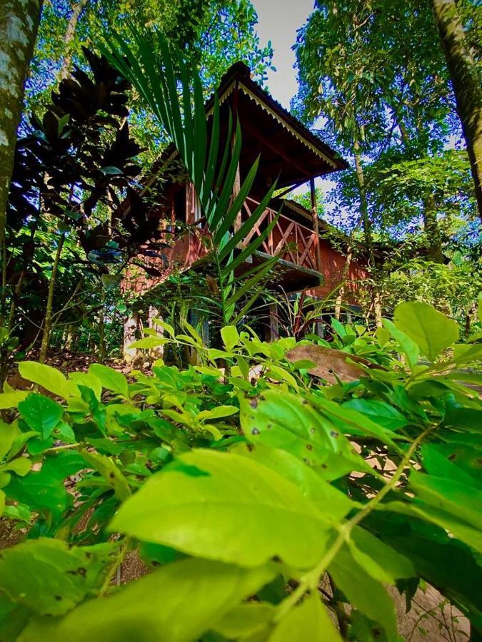 Wooden Cottages Glen Wayanad Meppādi Esterno foto