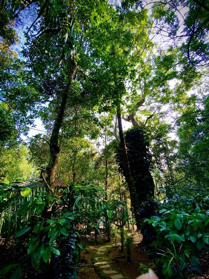Wooden Cottages Glen Wayanad Meppādi Esterno foto