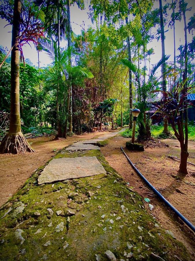 Wooden Cottages Glen Wayanad Meppādi Esterno foto