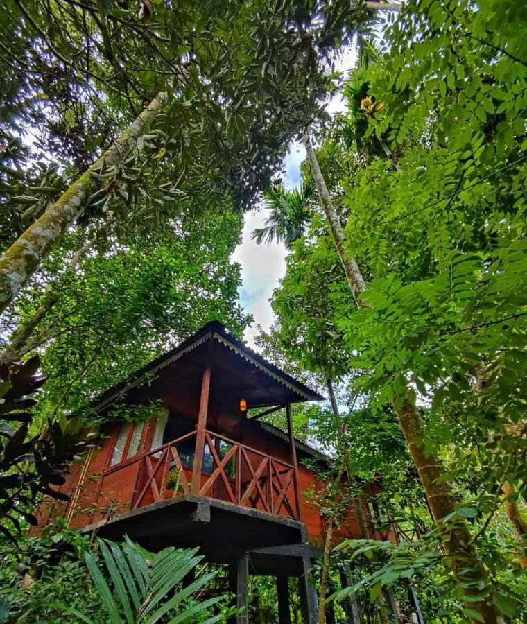 Wooden Cottages Glen Wayanad Meppādi Esterno foto