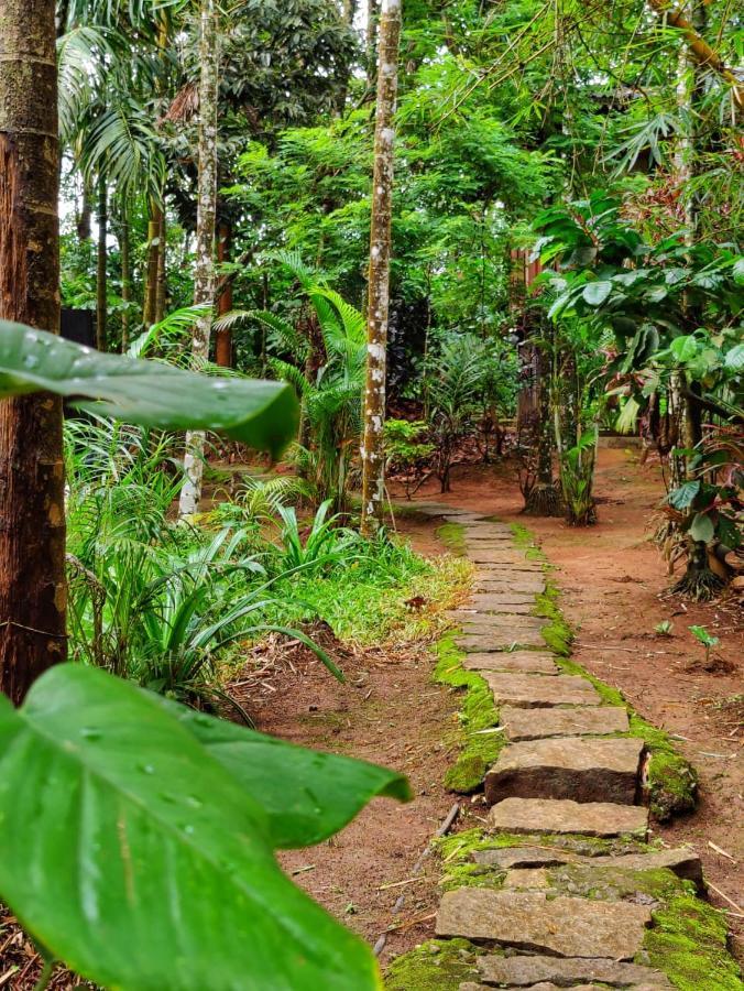 Wooden Cottages Glen Wayanad Meppādi Esterno foto